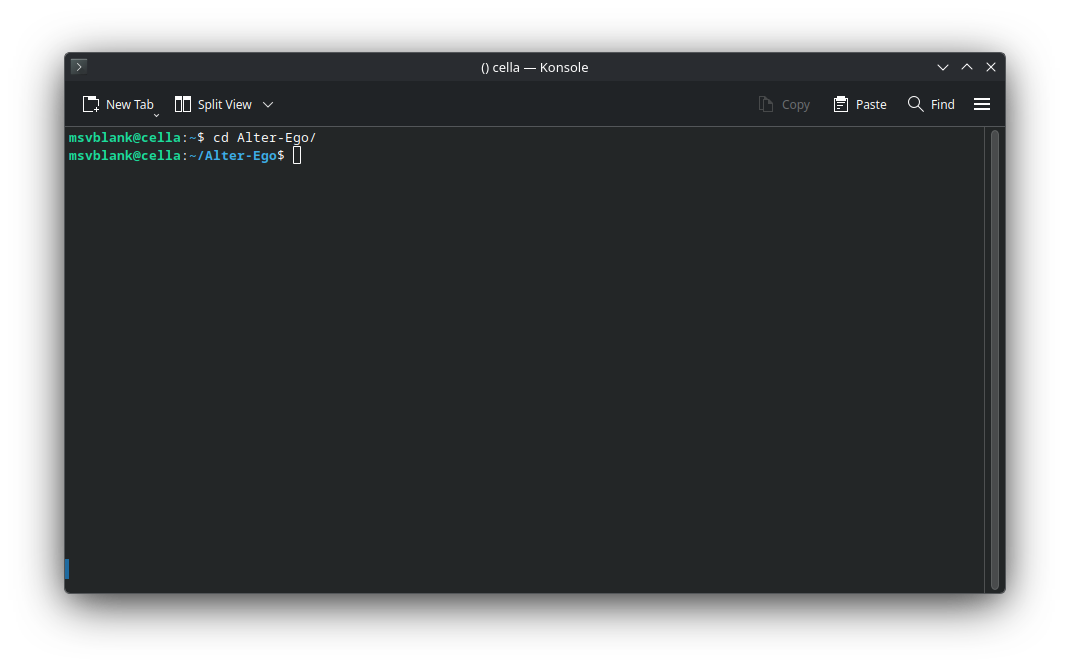 A terminal after executing the command cd Alter-Ego